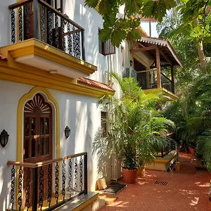 D Hibiscus * Candolim
