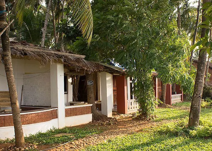 Rio De Talpona Hotel Canacona photo