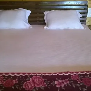 Sea Horse Bed & Breakfast