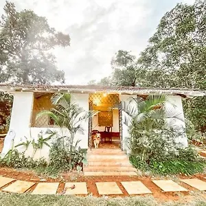 The Hidden Hostel Arambol