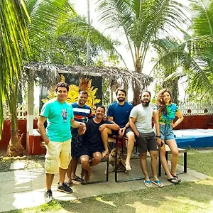 Nest & Guest House, Baga-arpora