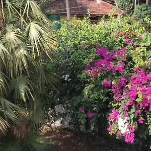 1 Bhk Luxury Beachside In South Goa Betalbatim