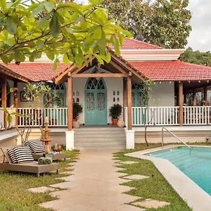 Estate De Floresta