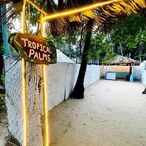 Tropical Palms