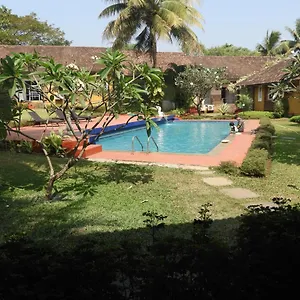 Services 8 And 9 Anjuna