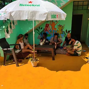 Is It Jungle Maze Hostel