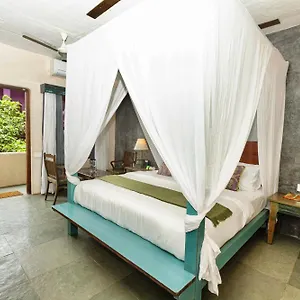Geranium Haven Homestay *