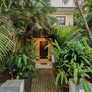 The Bumblebee- Serene 3bhk Villa- Candolim, Goa By Staymonkey Villa Candolim