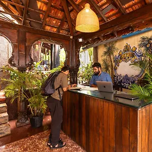 Madpackers Goa - Bar Albergue Anjuna