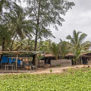 Talpona