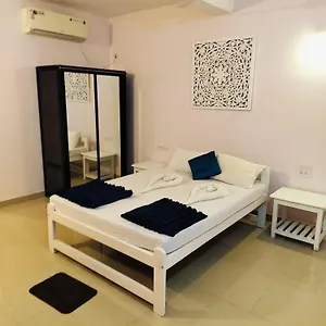 Pink 300mtrs From Morjim Guest house