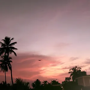 Cbs Calangute