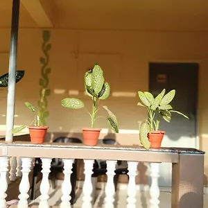 E&e Guest house Calangute
