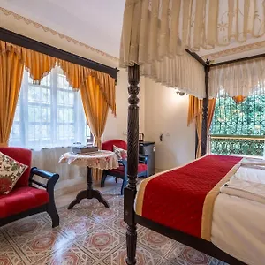 Resort Palm Grove - Leisure