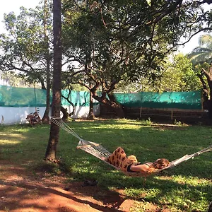 Lazy Llama * Anjuna
