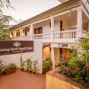 Shining Baga