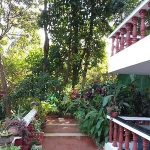 Affittacamere Casa De Olga 2*