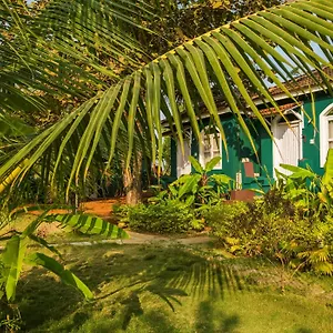 Aquatica Earth Friendly Morjim