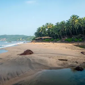 Blue Lagoon Goa Cola