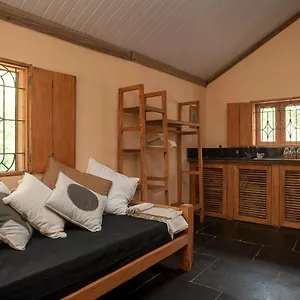 Luxury Steps From Turtle * Magdal